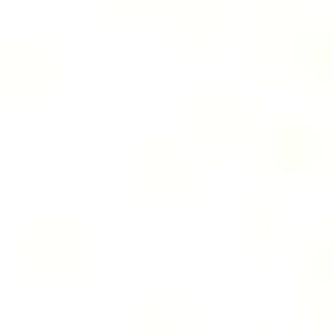 Meet your Posher, Amiya